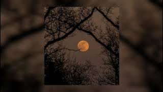 Guti - girl of my dreams (1 hour)