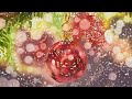 Paint Your Own Festive Christmas Card using These Fun Watercolour Techniques