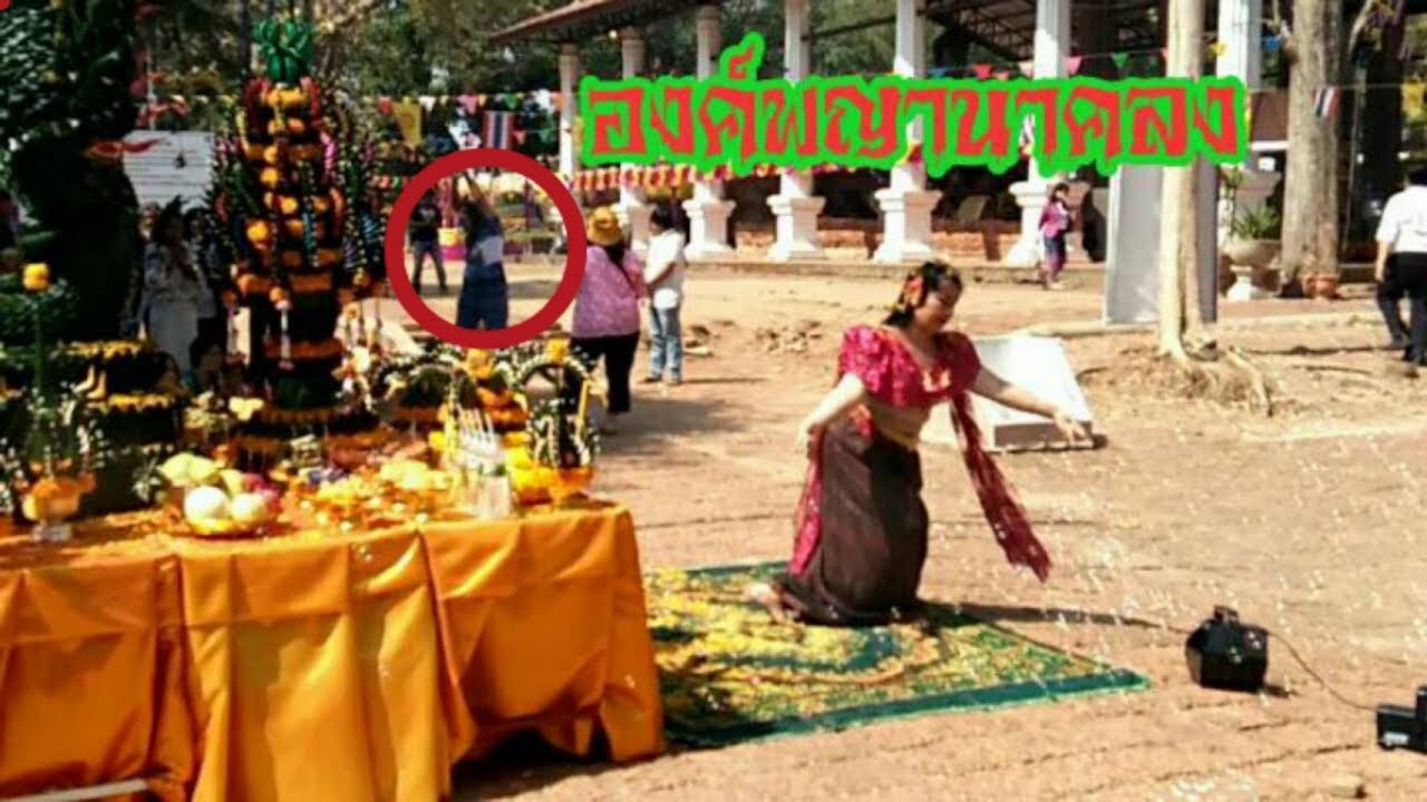 รำบวงสรวง พญามุจลินทร์  วัดพระธาตุบังพวน มีองค์ลง #ร่างทรง #พญามุจลินทร์