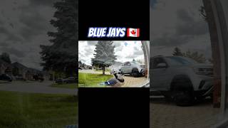 Blue Jay makes a surprise visit 🐦 #bluejays #birds #nature #canada #torontobluejays