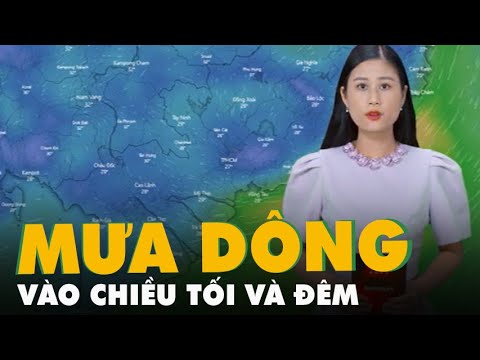 Video Dự báo thời tiết 11-11: Nam Bộ chiều tối và đêm có mưa... - youtube