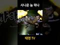 사나운놈 하나 이거 물리면 죽어