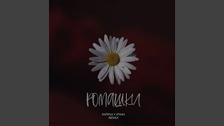 Ромашки (Remix) (Ремикс)
