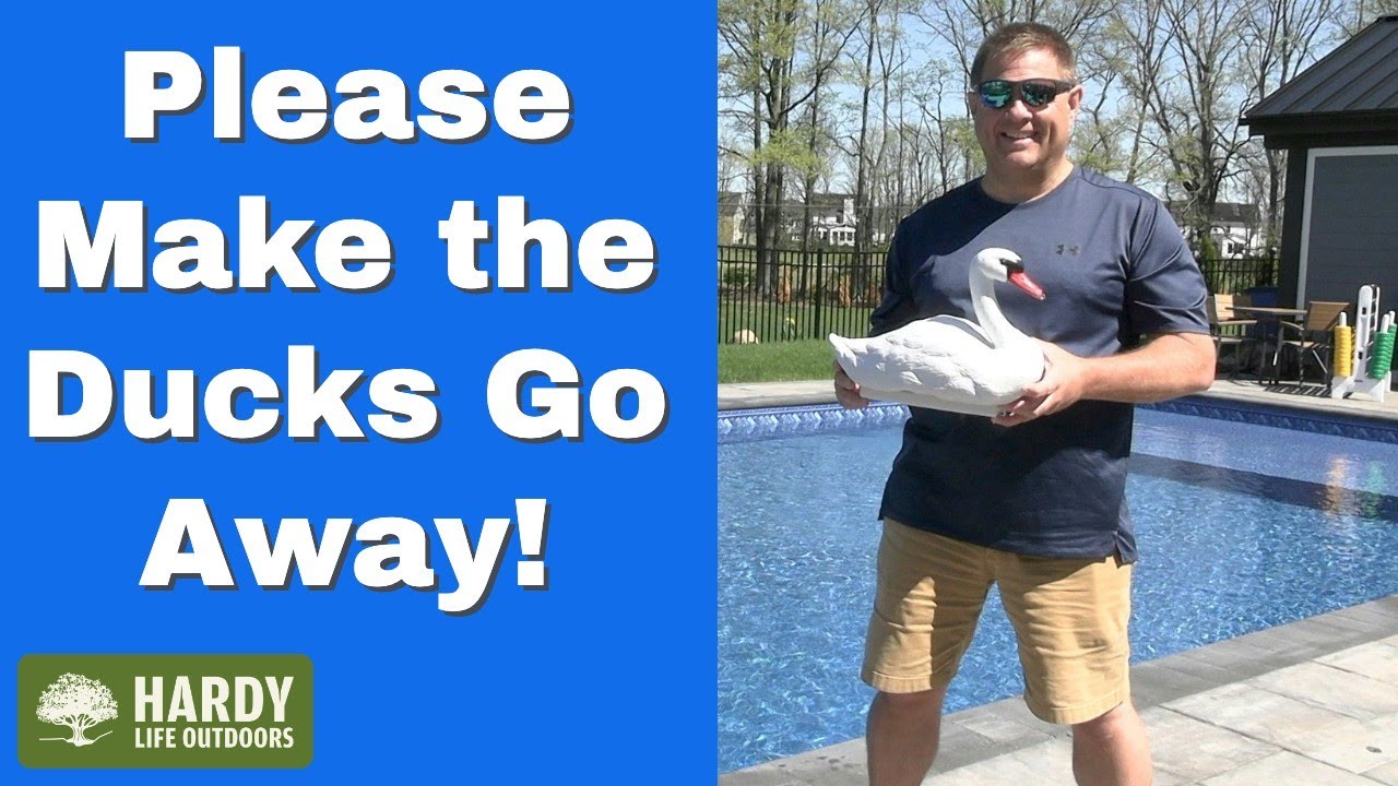 Swan Decoy Pond Decoration Goose Decoys Hunting Floating Duck Pool Deterrent Garden Pond Decoration