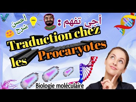 Biologie Moléculaire en