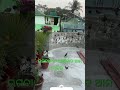 #nature gift our bird