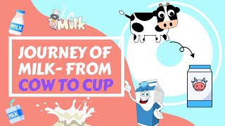 JOURNEY OF MILK  FROM COW TO CUP || Learn how milk comes to our homes || Educational Video for Kids