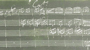 VIVALDI | Concerto RV 119 in C minor | Original manuscript