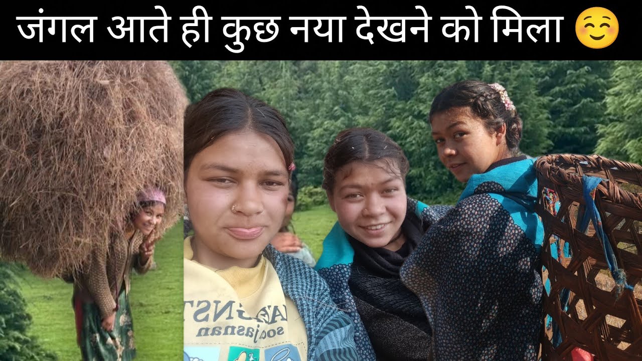 आज नैना ओर में गए बहुत समय के बाद जंगल बहुत बुरी आफत आ गई 😐 और जंगल में क्या मिला ☺️#phadilifestyle