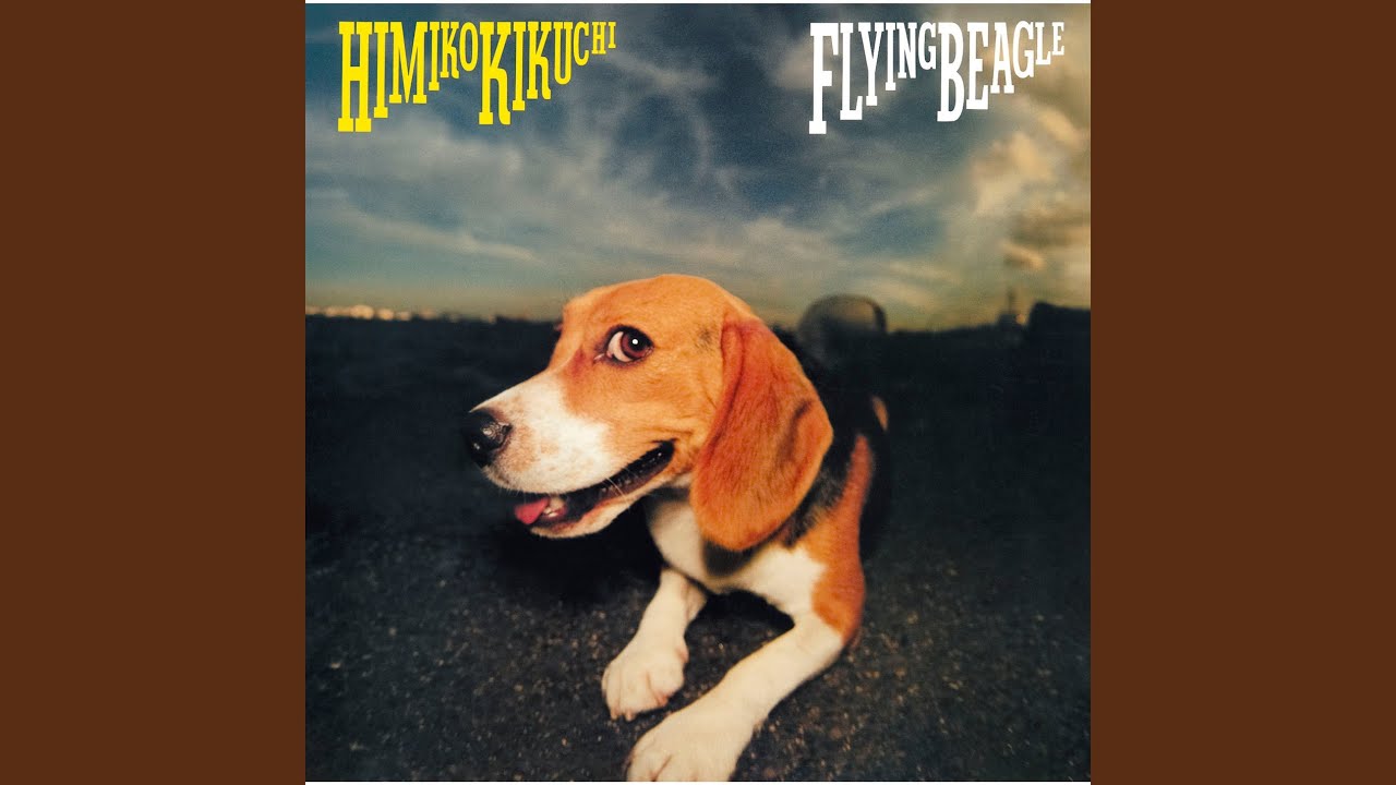 菊池ひみこ Himiko Kikuchi ‎– Flying Beagle (Full Album