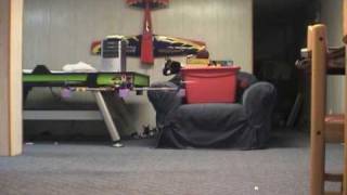 UAVX Test Flight in my basement