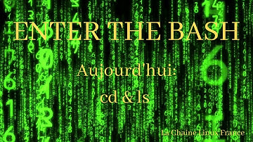 Enter the bash : Commandes cd & ls