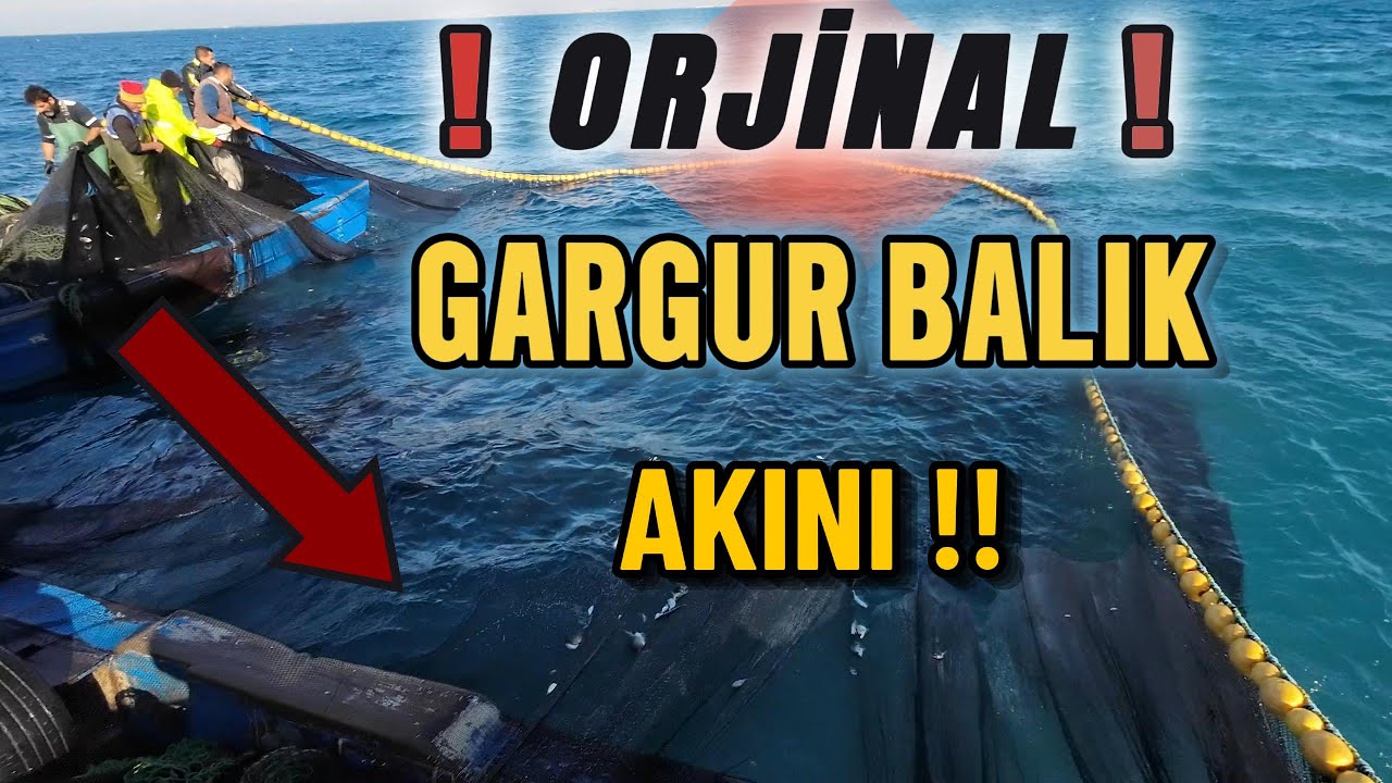 Fırtına Arkası Tahmin Dışı Balıkçılık!! Akın Akın Bereket
