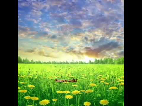 اخطر الامراض للشيخ أحمد عليوي 01