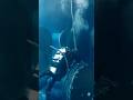 Deep Dive Repairs