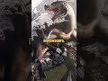 What Are The Infamous Mythosaurs Of Mandalorian Legend?