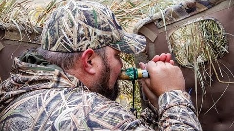 Goose calling tips the “cluck”