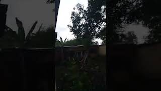 Download Lagu Avatar Air, Api, Tanah dan Udara. MP3