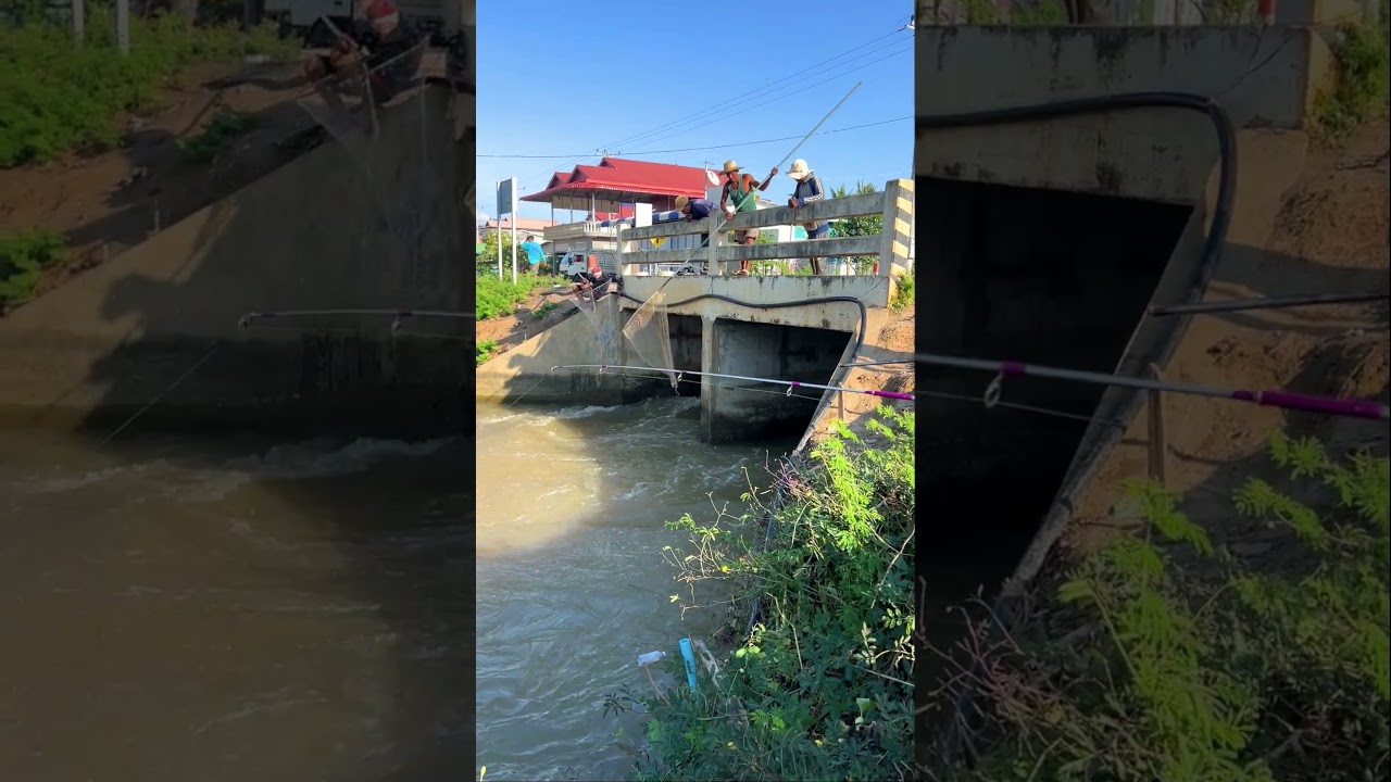 Real Life 100% Net Fishing In River At The Countryside (Part 902) 