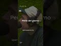 Perla del giorno #muschioselvaggio #podcast #fedez #mrmarra #emanuelaorlandi #pietroorlandi