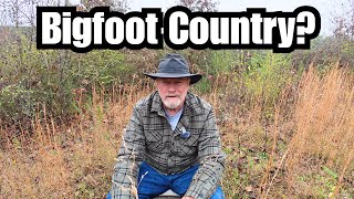 There’s a Reason Bigfoot Legends Won’t Die in Arkansas