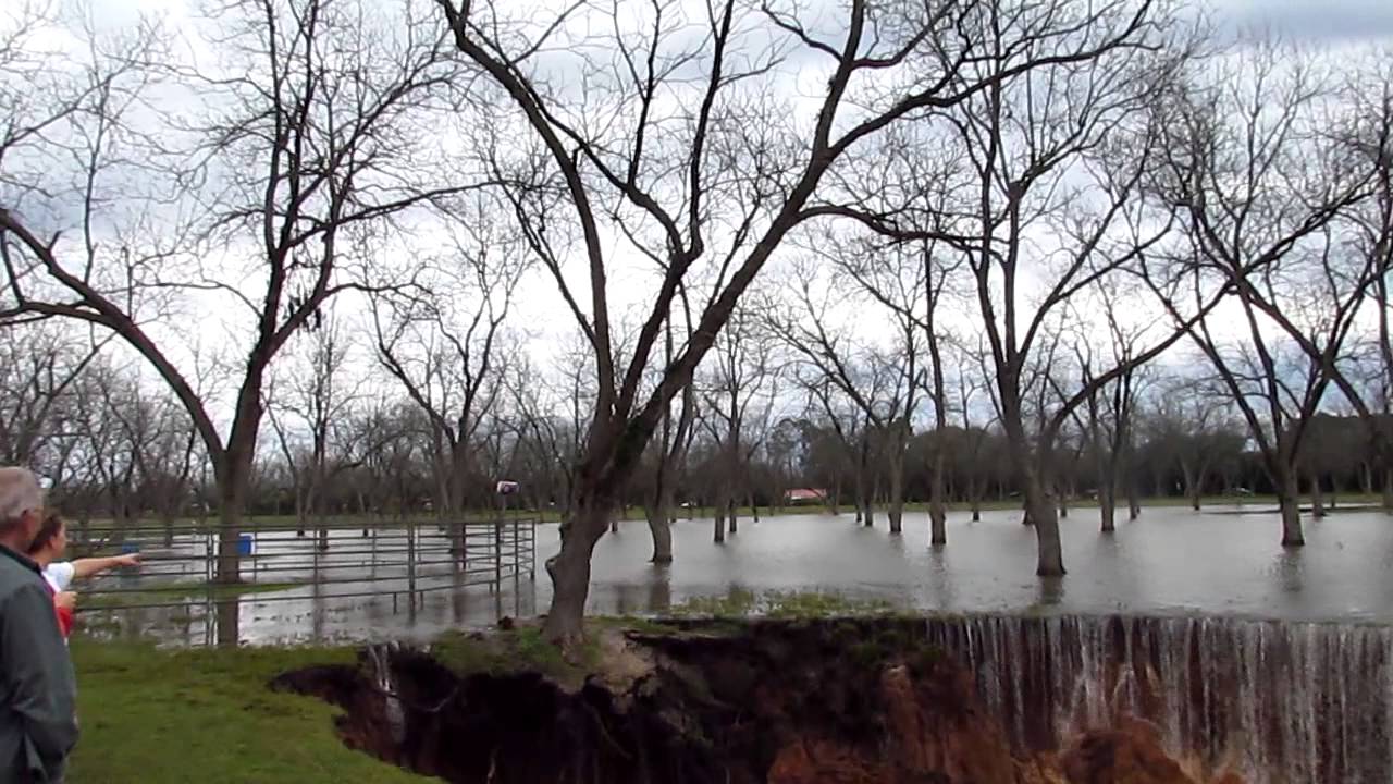 Tree Falling in a Sinkhole at School YouTube