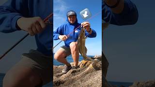 Celebrity This LURE is a CHEAT CODE 💀 #lurefishing #metaljig #fishingvideo  #fishing Net Worth