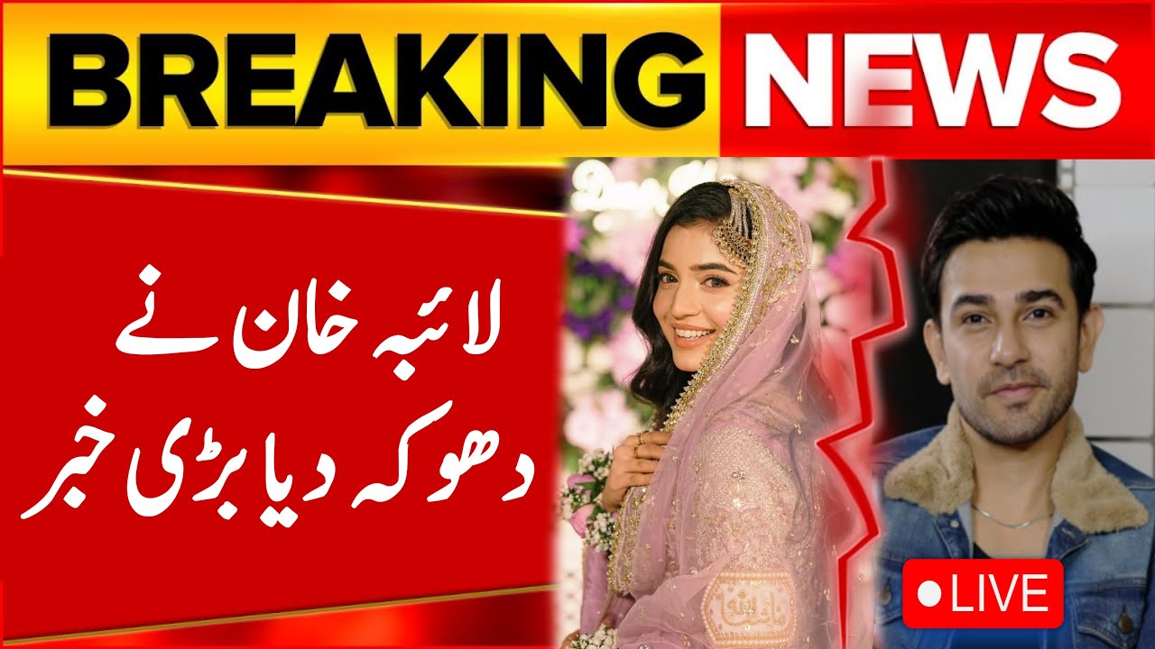 Ali Ansari Laiba Khan Love Story😭||Laiba Khan wedding events||breaking news by Amira