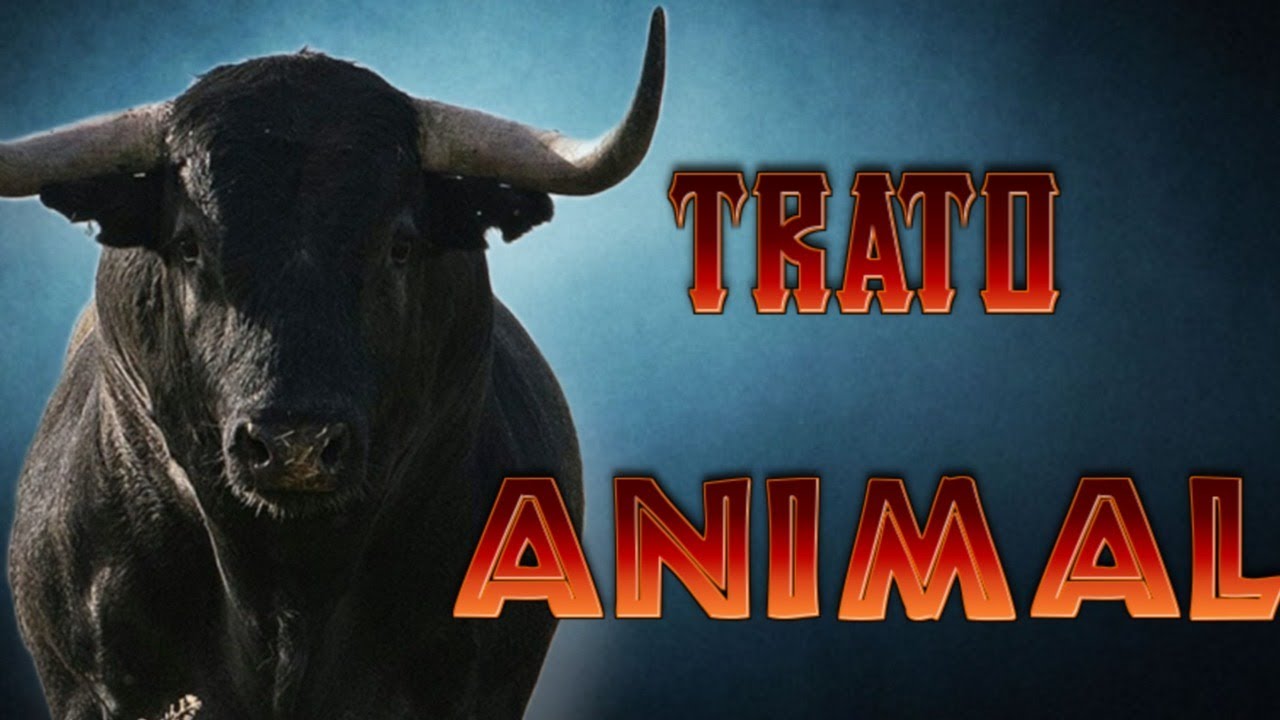 CARAMBOLA ( CAZA, VEGANISMO Y TAUROMAQUIA)