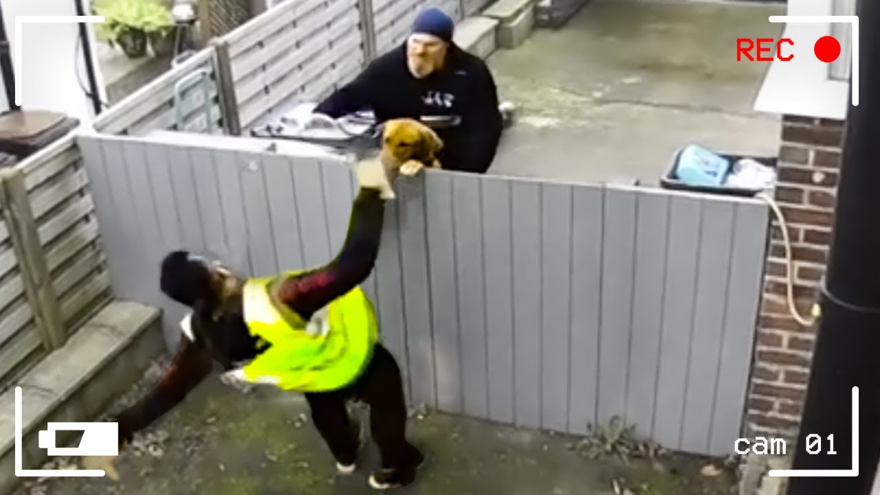 The Most Priceless Moments Caught On Cam