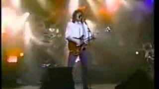 NIGHT HAWKS   Shout PV