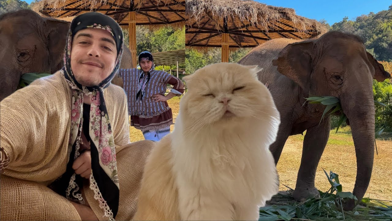 MAHALUŠA HRANI SLONOVE I 80 MAČAKA!? 😍 CHIANG MAI 🐘 TAJLAND 2026 🇹🇭 seadhr x mulekelefeleketa