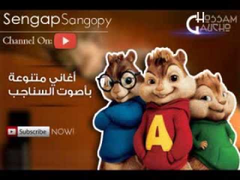 كارمن سليمان دنيا بطمة يوسف عرفات عظمة على عظمة