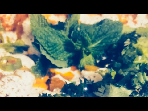 Borani Kachalo برانی کچالو