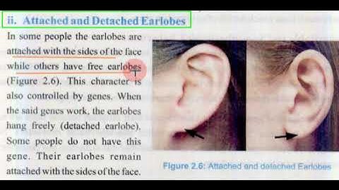 Class 8th Science Ch # 2  Inheritable and non inheritable characters
