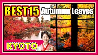 [KYOTO] Best 15 autumn leaves spots in Kyoto - Japan [English]