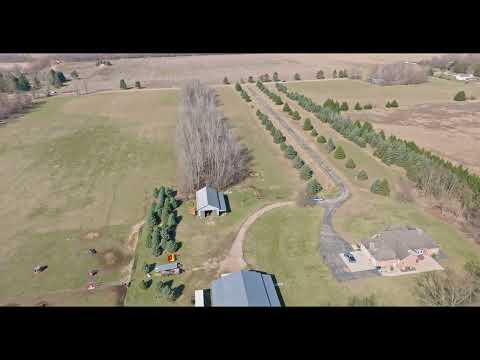 7393 Palmer Rd, Belding, MI home video tour