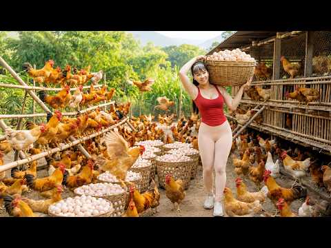 Harvesting 1000+ Chicken Eggs from the Farm - Transport by Truck to Sell at Countryside Market