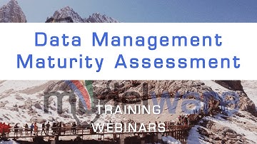 Data Management Maturity Assessment for Data Executives