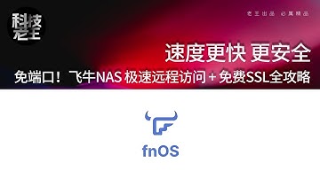 飞牛NAS远程访问终极方案｜免端口转发+免费证书+安全加速