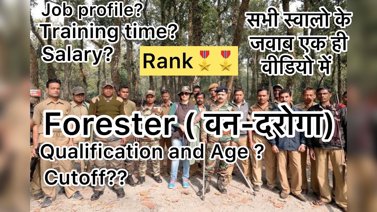 Forester job hssc new vacancies out forester job profile forester rank training period 