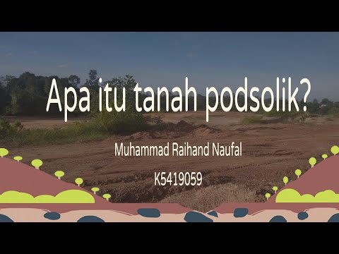 Video: Apa Itu Tanah Podsolik?