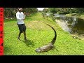 Invasive Bowfishing **BIGGEST IGUANA EVER!**