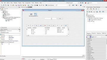 البحث في قاعدة بيانات في الدلفي
