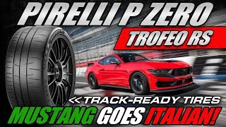 Mustang Tires! What Gives You Maximum Grip?