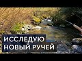 Новый сезон, новый ручей и новая тенкара