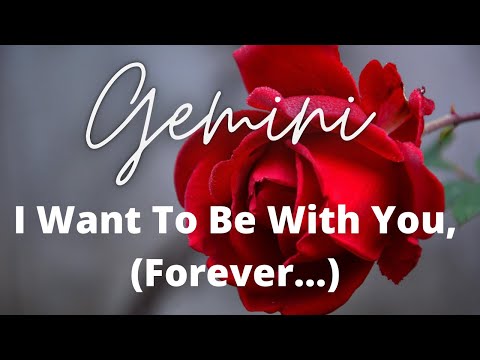 Gemini ♊️ I Want To Be With You, (Forever…) Timeless Weekly Love Tarot Card Reading