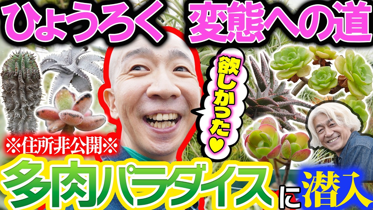 【ひょうろく旅】多肉植物が欲しい!真の植物変態を求め、再び旅へ🌵/変態植物倶楽部/毎週土曜19時更新 #ひょうろく#珍奇植物 #観葉植物 #ビカクシダ