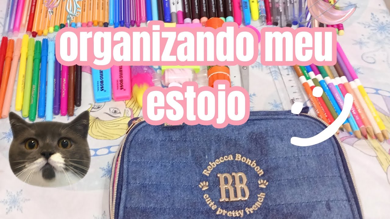 Organizandl meu estojo 2026 part 2(comprei coisa nova?)