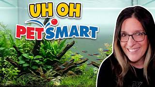 Crazy new fish and plants at petsmart?!